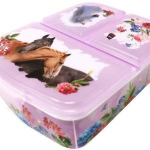 ŚNIADANIÓWKA LUNCHBOX POJEMNIK NA SNIADANIE DO SZKOŁY DLA DZIECI MOTYW KONI