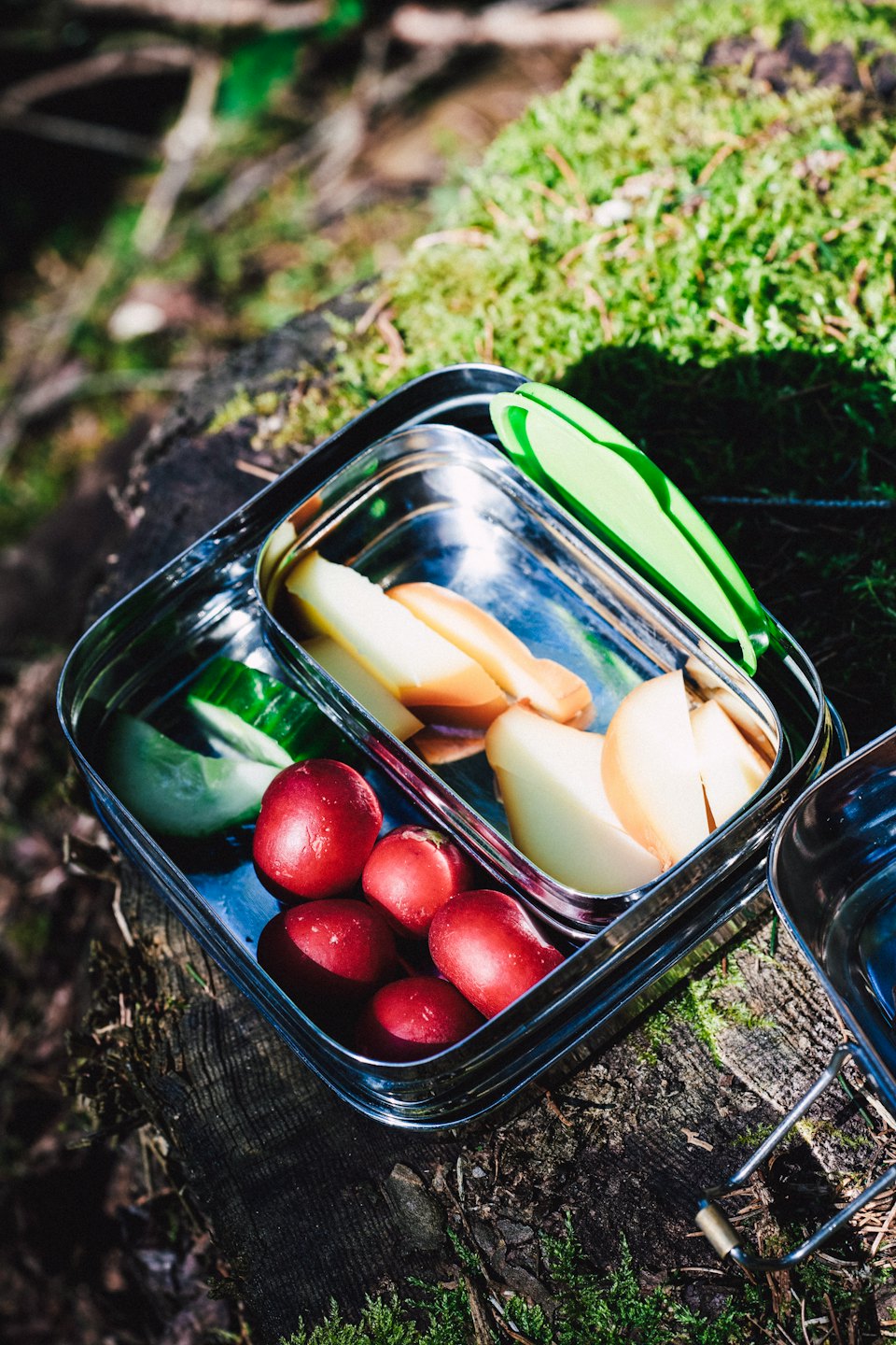 Otwarty bento box z przekąskami na omszałym pniu.